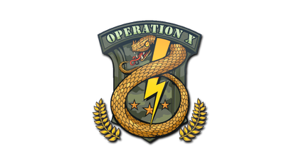 Sticker | Badge of Service