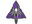 Shattered Web