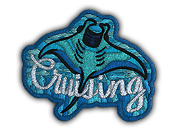 Patch | Cruising Ray