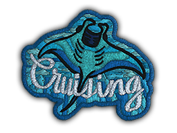 Patch | Cruising Ray