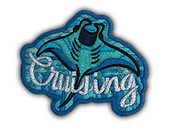 Patch | Cruising Ray