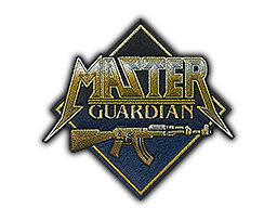 Patch | Metal Master Guardian