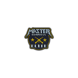 Patch | Metal Master Guardian Elite