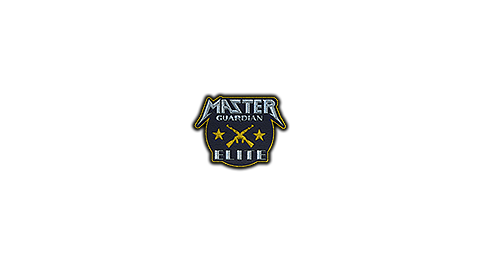 Patch | Metal Master Guardian Elite