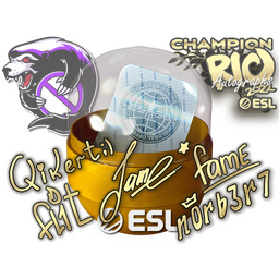 free cs2 skins Rio 2022 Champions Autograph Capsule