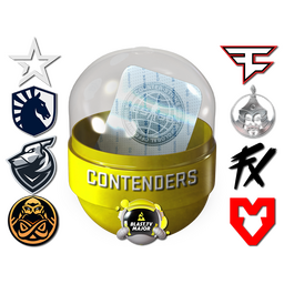 Paris 2023 Contenders Sticker Capsule Stickers - CS2 Skins