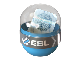 case_icon
