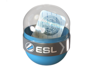 EMS Katowice 2014 Challengers