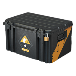 CS:GO Weapon Case