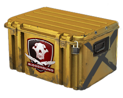 Falchion Case
