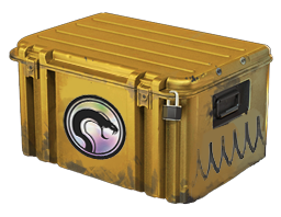 Image for the Recoil Case in Counter Strike 2