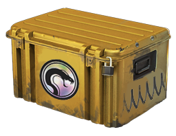 Image of the Recoil Case from Counter Strike 2