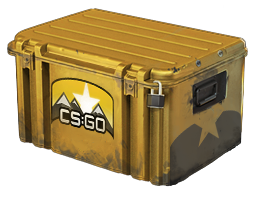 Image of the Horizon Case from Counter Strike 2