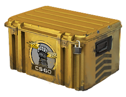 Image of the Glove Case from Counter Strike 2