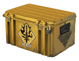 case_icon