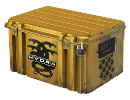 Image for the Operation Hydra Case in Counter Strike 2