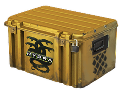 Operation Hydra Case