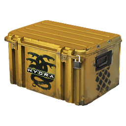 Operation Hydra Case