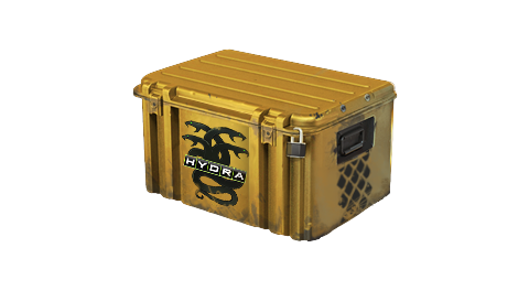Operation Hydra Case