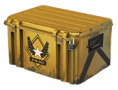 Winter Offensive Weapon Case