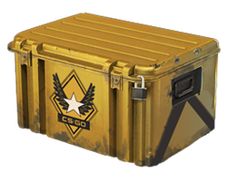 Winter Offensive Weapon Case