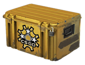 Revolver Case