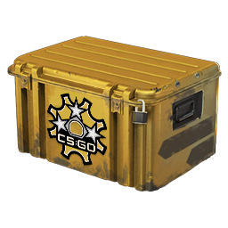 Revolver Case