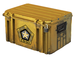 Image for the Gamma Case in Counter Strike 2