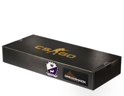 DreamHack 2014 Cobblestone Package