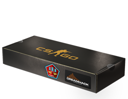 DreamHack 2014 Mirage Package