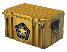 Image of the Gamma 2 Case from Counter Strike 2