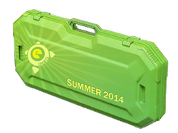 eSports 2014 Summer Case
