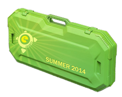 eSports 2014 Summer Case