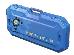 eSports 2013 Winter Case