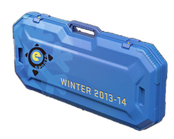 eSports 2013 Winter Case