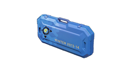 eSports 2013 Winter Case