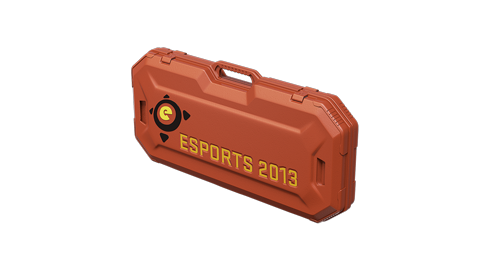 eSports 2013 Case