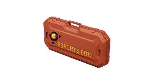 eSports 2013 Case