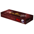 Krakow 2017 Cobblestone Souvenir Package