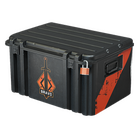 Cracking the CS2 Cases Market Code