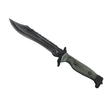 ★ StatTrak™ Bowie Knife