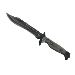 free csgo skin ★ Bowie Knife