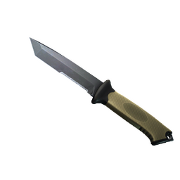 free cs2 skins ★ Ursus Knife