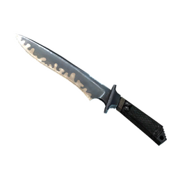 free cs2 skins ★ StatTrak™ Classic Knife