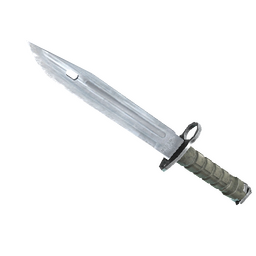 ★ StatTrak™ Bayonet