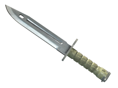 ★ StatTrak™ Bayonet