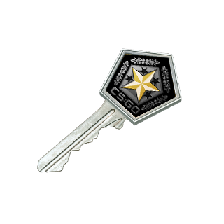 Gamma 2 Case Key