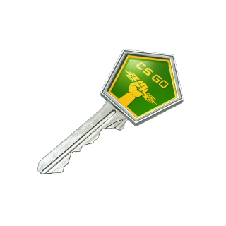 Operation Breakout Case Key - CS2 Game Items - Gameflip