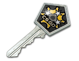 Revolver Case Key