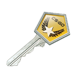 Winter Offensive Case Key